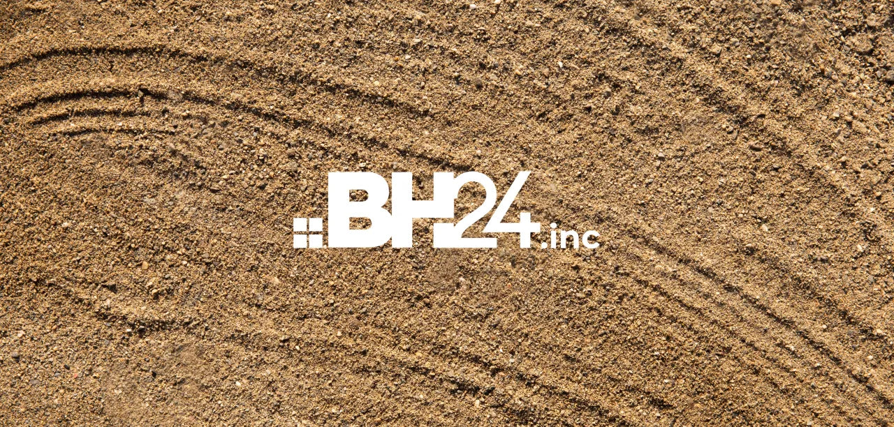 How BH24 is Transforming Industries Worldwide